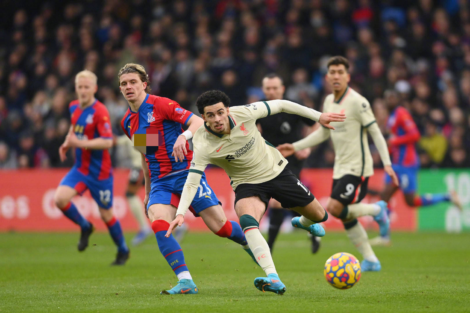 国公开赛中 国公开赛中